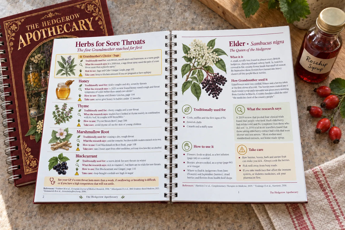 Inside: Herbs for Sore Throats and the Elder profile